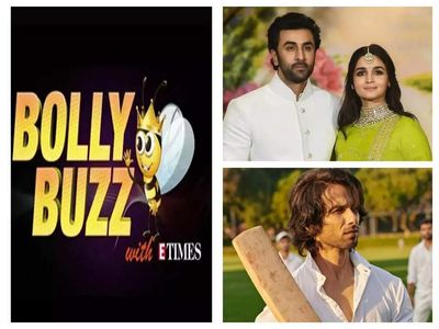 Bolly Buzz! Update on Alia Bhatt and Ranbir Kapoor’s wedding preparations, Reason why Shahid Kapoor's 'Jersey' got delayed, Actor-screenwriter Shiv Subrahmanyam passes away