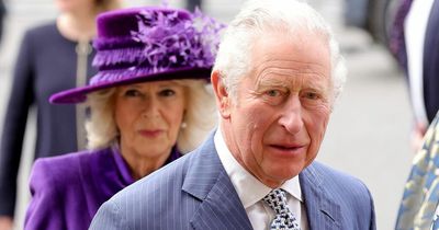 Camilla began to understand Diana's discontent before marriage to Charles, says author