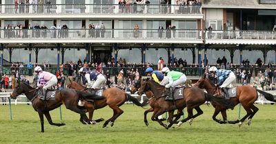 Horse racing tips and best bets for Ayr, Newmarket and Wolverhampton