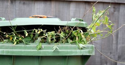 Everyone in Liverpool warned over £40 green bin phone call