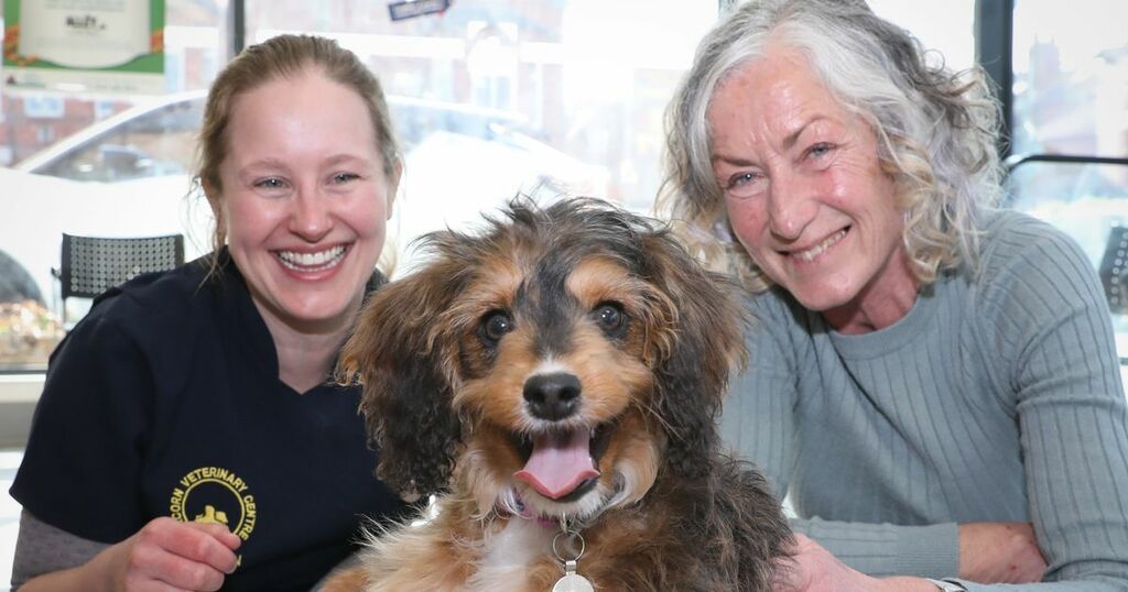 Puppy undergoes lifesaving surgery after she was born…