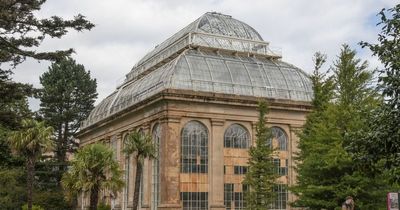 Edinburgh's Royal Botanical Garden Glasshouses set for huge preservation project