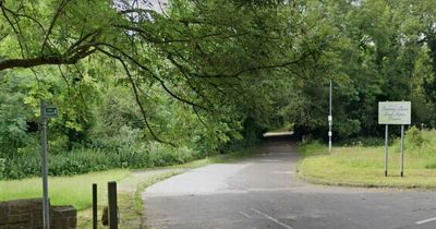 Claims housing developer has cut down trees at Mansfield quarry after planning permission refused