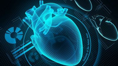 Heart Valve Maker Eyes Breakout After Getting An FDA Approval