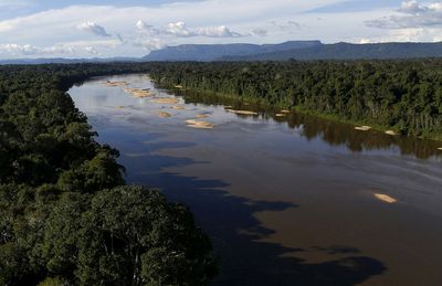 Brazil's largest indigenous reservation overrun by illegal gold mining, says report