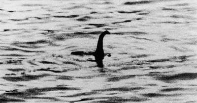 Loch Ness Monster theory suggests Nessie could actually be a whale's penis