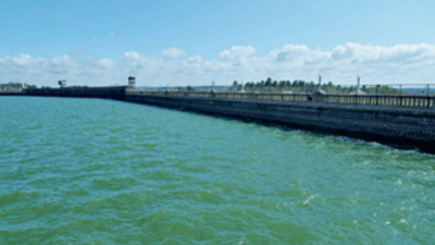 Microplastics in Cauvery may be harming fish, says IISc