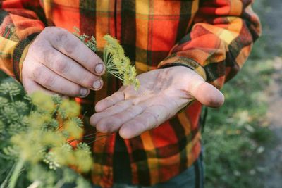 Foraging takes hold in New Zealand’s wild places