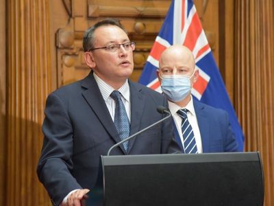 NZ MP regrets Australian election spray