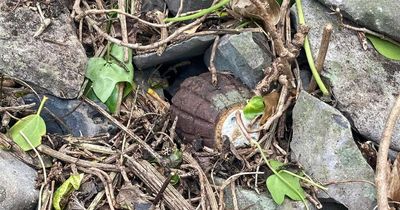 120-year-old home renovation turned 'nightmare' as bomb squad called after live hand grenade found on property