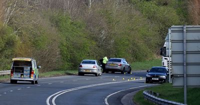 Woman killed after being hit by car named