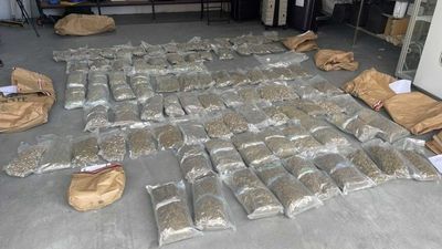 Townsville police uncover cannabis and ice worth $1.5m in suitcases at ferry terminal