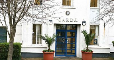 Man arrested after cash and items stolen from south Dublin shop