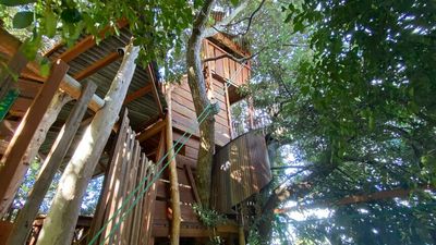 Albany tree house used for kids' birthday parties faces uncertain future after complaint