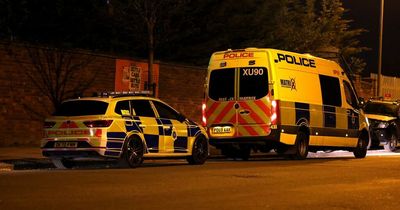 Chaos at the fun fair as bricks thrown at police and schoolgirl arrested