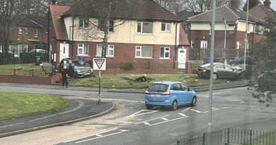 Woman rushed to hospital after two-car smash in Tameside