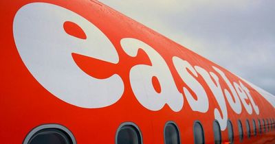 EasyJet apologises after ad draws comparisons to Holocaust tattoo sparking backlash