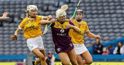 Elaine Dowds bemoans slow start as Antrim camogs miss out on promotion
