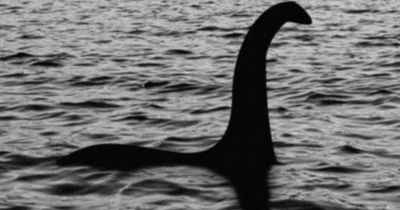 Loch Ness Monster could be 'whale's penis' claims professor in bizarre theory