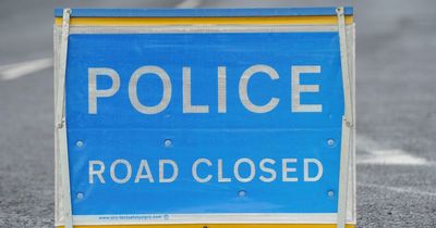 Police launch appeal after man dies in collision with HGV