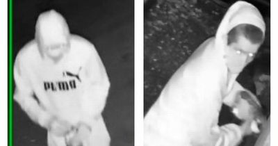 Police release CCTV images following wilful fire-raising in Dumbarton