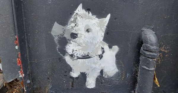 'Barksy' transforms Merseyside town with adorable pup street art