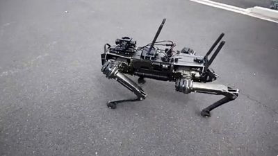 I’ll Be Bark: Terminator Dog On Trials With US National Guard
