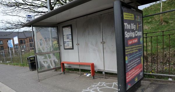 Louts slammed for "mindless" vandalism on Paisley street