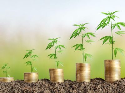 Akerna Flash Predicts 420 To Bring In Over $130M In Legal Cannabis Sales; Will It Be The Largest Sales Day Ever?