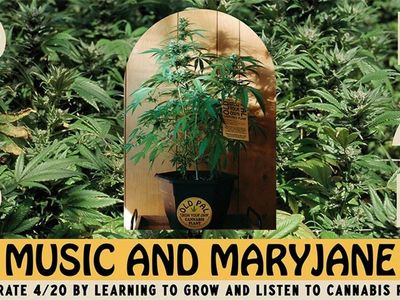 Old Pal 'Grow Your Own' Initiative Set For 4/20, Partners With PlantWave To Make Music From Living Cannabis Plants