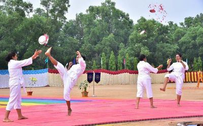 Divisive forces disturbing peace in society, says Home Minister