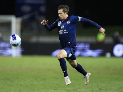 Goodwin goal sinks Sydney FC