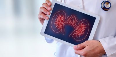 Hemodialysis: New research could vastly improve this life-sustaining treatment for kidney failure patients