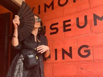 French textile artist Isabelle Moulin wants globalization of Indian silk