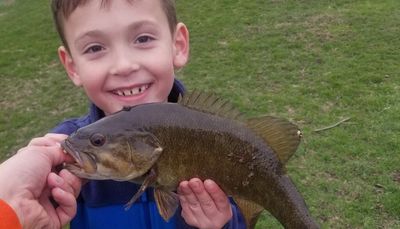 Chicago fishing, Midwest Fishing Report: Coho, browns, steelhead, lakers, smallmouth bass, crappie