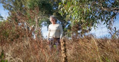 ACT govt recruits green thumbs to help meet canopy target