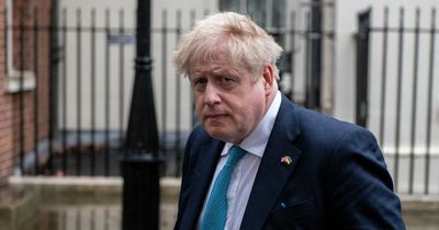 Who could replace Boris Johnson as prime minister if he resigns?