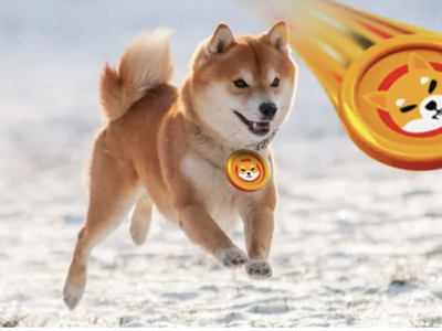 If You Invested $100 In Shiba Inu At The First Robinhood Rumor, Here's How Much You'd Have Now