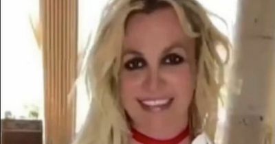 Britney Spears shows off her 'small belly' a day after pregnancy announcement