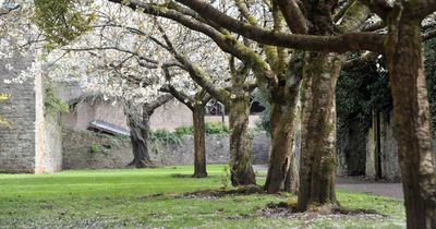Met Office weather forecast says it's sunshine and showers for now as an Easter stunner beckons