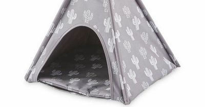 Aldi shoppers praise ‘adorable’ £14 outdoor pet teepee for ‘great price’