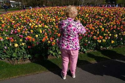 Flower power: Dutch horticultural expo opens near Amsterdam