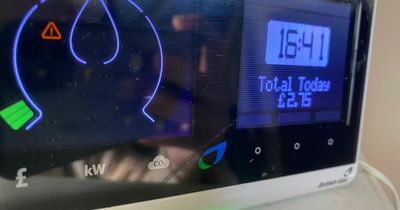 I worked from home all day and this is how much my British Gas smart meter charged me