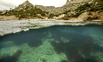 Sunscreen chemicals accumulating in Mediterranean seagrass, finds study