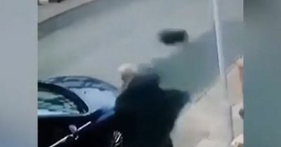 Family in tears after man is filmed grabbing 'frail' cat and throwing her across street