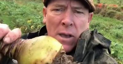 Welsh farmer handed TikTok ban after 'harassing and bullying' vegans with a vegetable