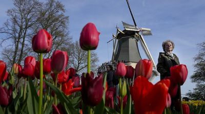 Flower Power: Dutch Horticultural Expo Opens Near Amsterdam
