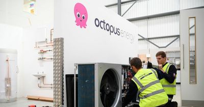 Octopus Energy signs UK heat pump deal that could cut costs by 70%