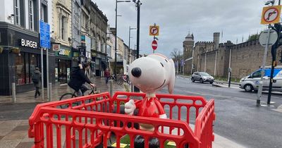Vandalised Snoopy trail sculptures have been repaired and will reappear during the Easter holiday