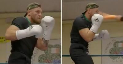 Jake Paul points out flaw in Conor McGregor's technique in latest training video